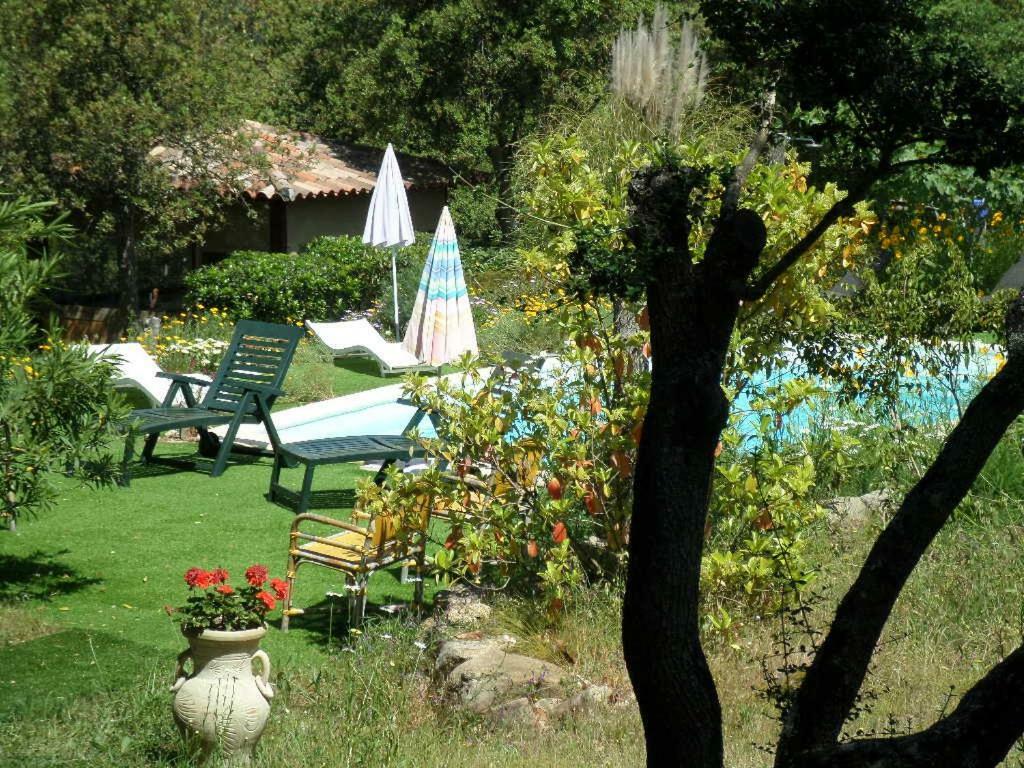 U Cantu Grillu Portigliolo Bagian luar foto